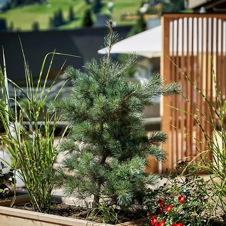 호텔 Brugger's Geniesserhotel Lanersbacherhof 4*